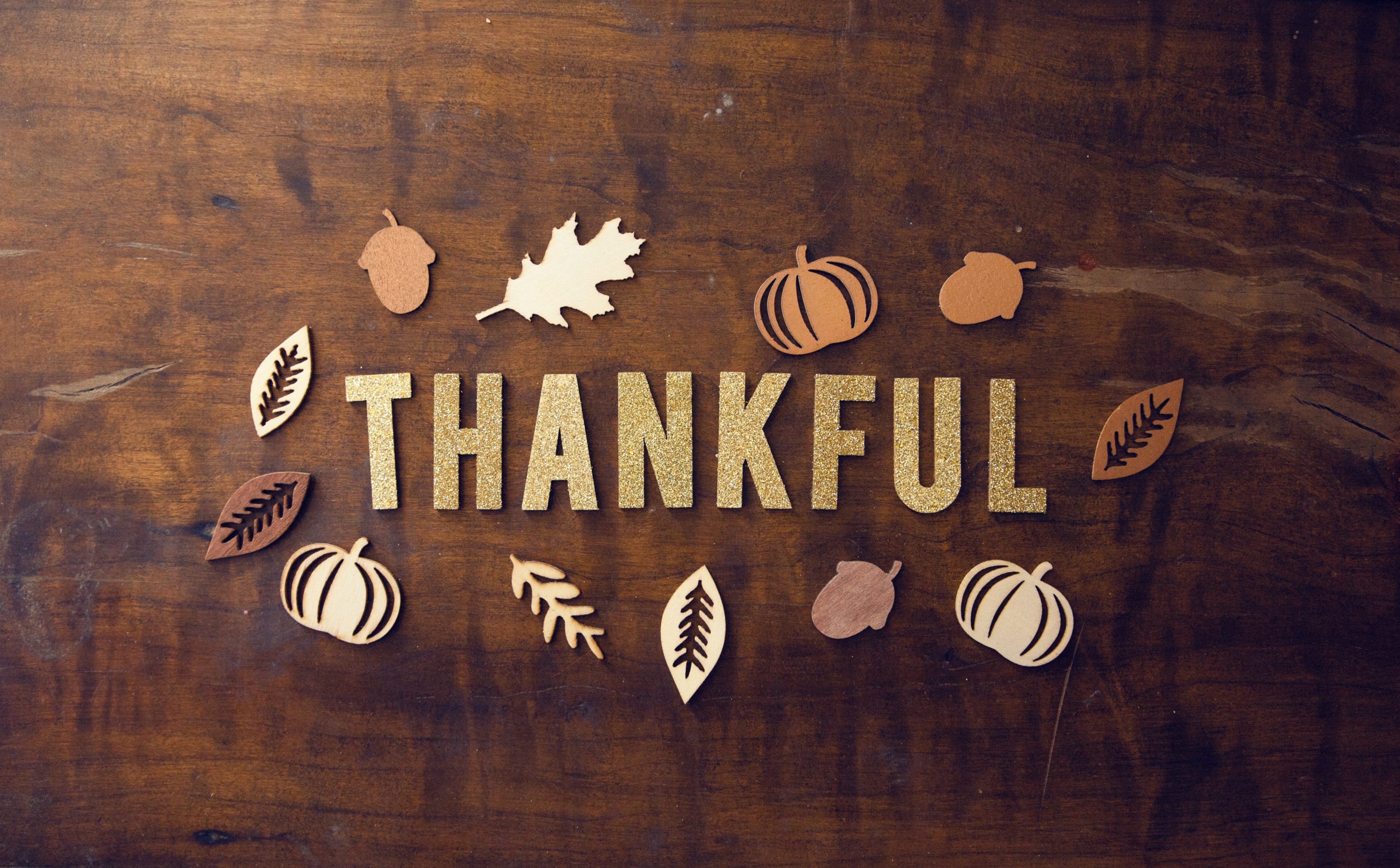 An Article on Thankfulness  | Consider Small Things